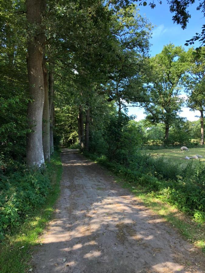 Klein Bosland By Logeren Bij Saar Villa Wijnjewoude Luaran gambar