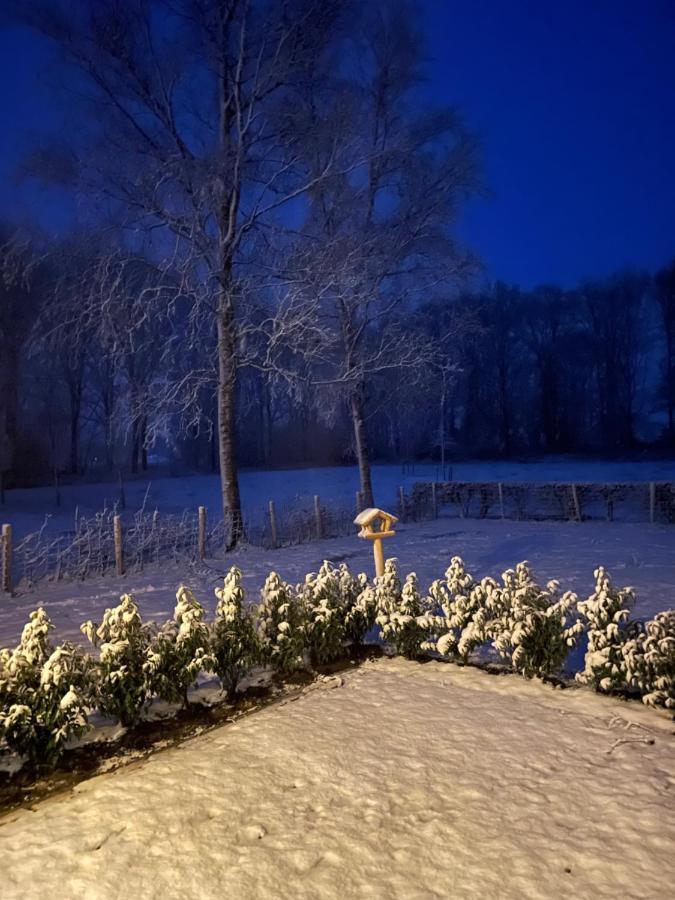 Klein Bosland By Logeren Bij Saar Villa Wijnjewoude Luaran gambar