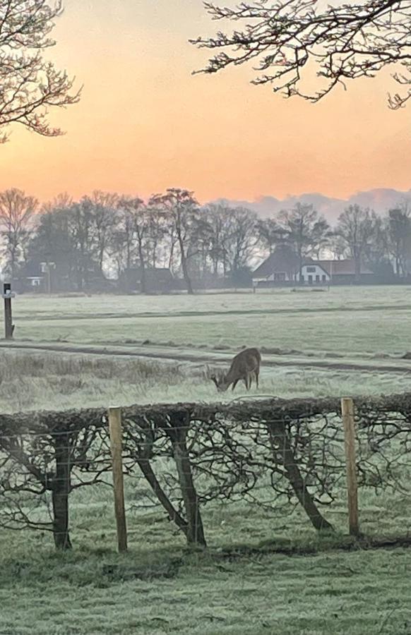 Klein Bosland By Logeren Bij Saar Villa Wijnjewoude Luaran gambar