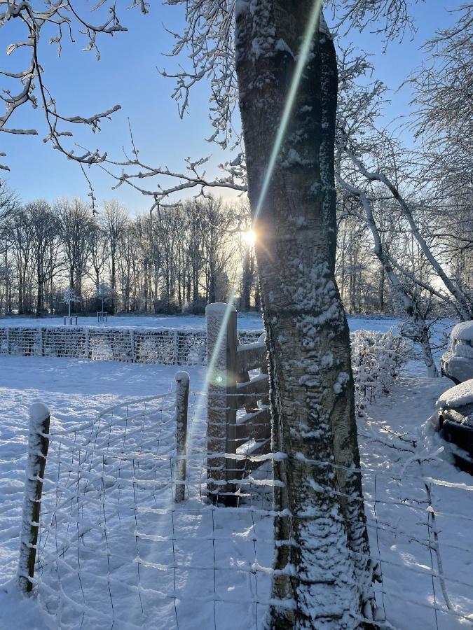 Klein Bosland By Logeren Bij Saar Villa Wijnjewoude Luaran gambar